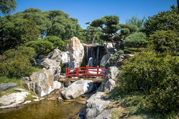 Quelles sont les techniques pour créer des jardins miniatures zen?